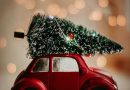 Juletraditioner i Fokus: Gode Tilbud til Julens Fejringer