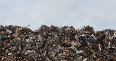 Affaldssortering – et smart og bæredygtigt valg